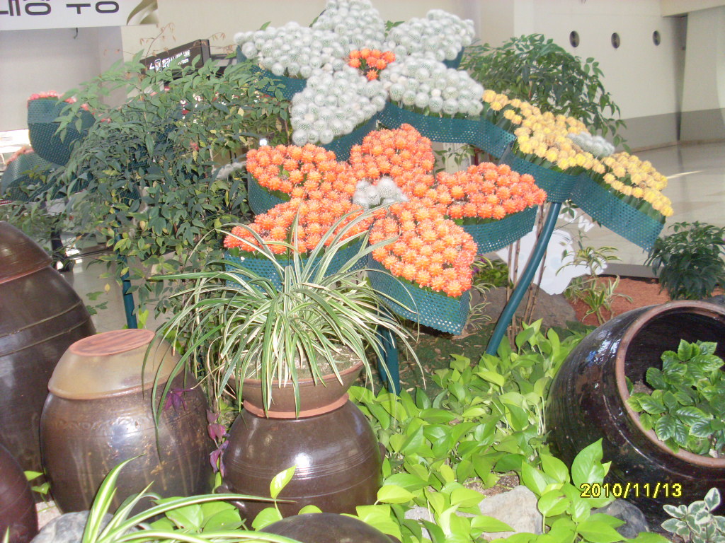  첨부파일  - SL385464.jpg