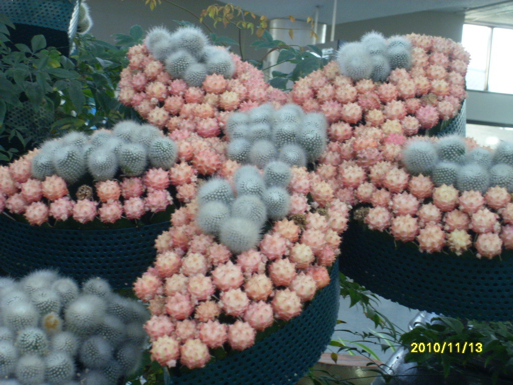  첨부파일  - SL385463.jpg