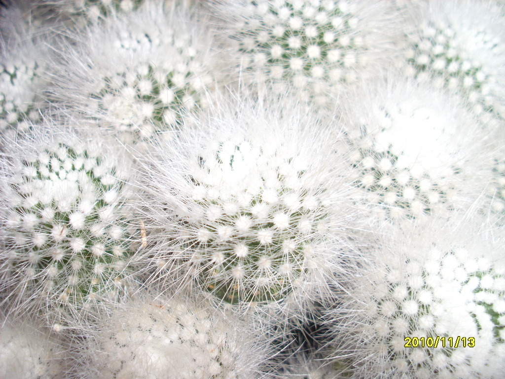  첨부파일  - SL385461.jpg