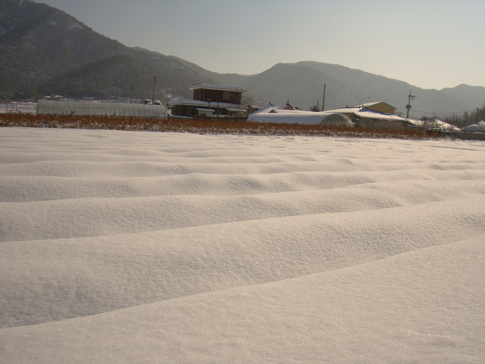  첨부파일  - DSC05728.jpg