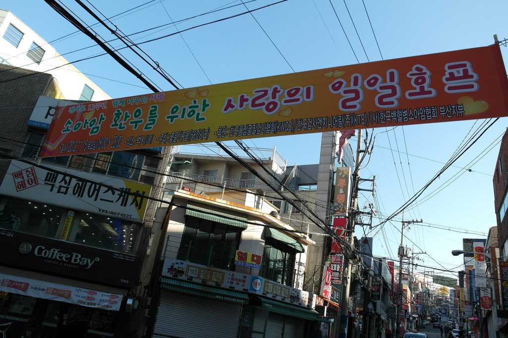  첨부파일  - SAM_0505.jpg